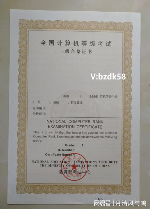 电子商务专业需要考哪些证书