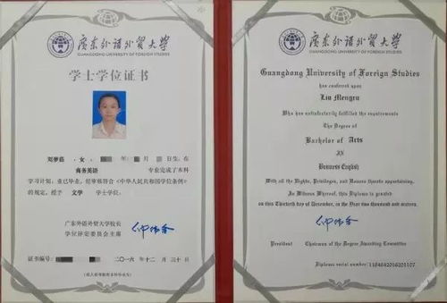 广东专业电子商务价钱表