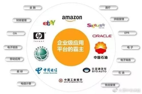 电子商务专业java