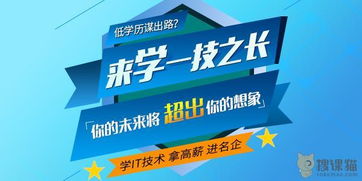 电子商务广告专业排名