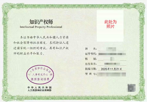 电子商务专业外观专利