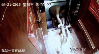 重庆一女厕安装透明落地窗引发关注，官方回应