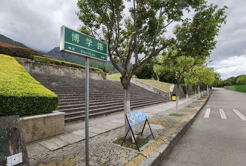 大理大学电子商务专业