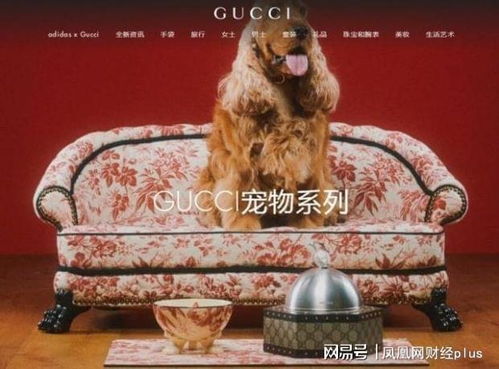 黄金界爱马仕卖疯，黄牛代购日赚万元，揭秘奢侈品市场的疯狂现象