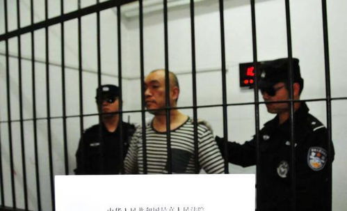 杀人犯纸面服刑再杀人被执行死刑，法律之剑不容侵犯