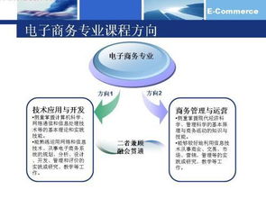 电子商务专业培养方向
