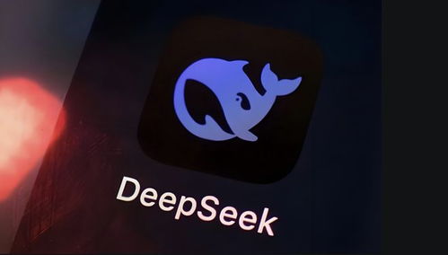 DeepSeek爆火的启示
