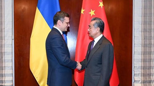 王毅会见乌克兰外长，深化中乌关系，共商地区和平与发展大计