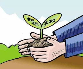 烟花炸伤右眼案已立为刑事案件，悲剧引发社会关注，安全意识亟待提升