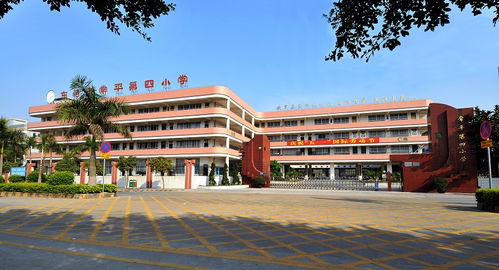 常平电子商务学校 专业