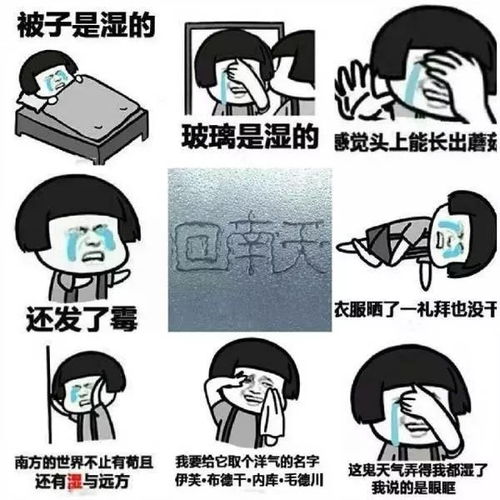 广东人最怕的天气套餐来了