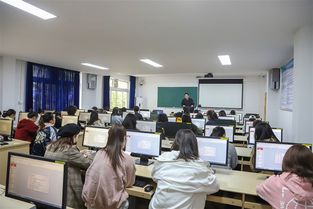 电子商务可以跨专业吗