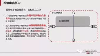 跨境电子商务的专业分析