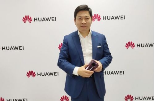 余承东一喊刘亦菲全场欢呼