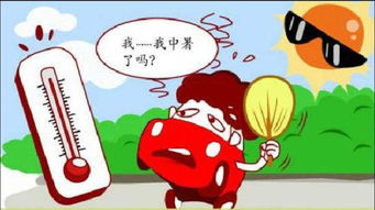 热热热热，你热热热热——炎炎夏日的挑战与应对