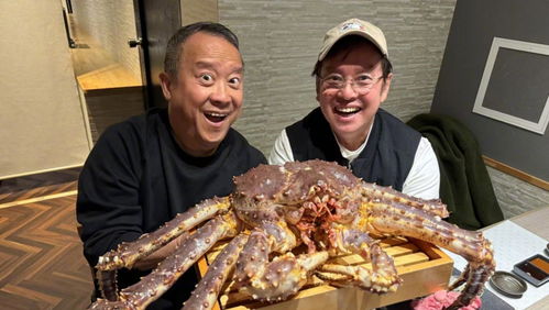 央视网用白敬亭上春山科普春分