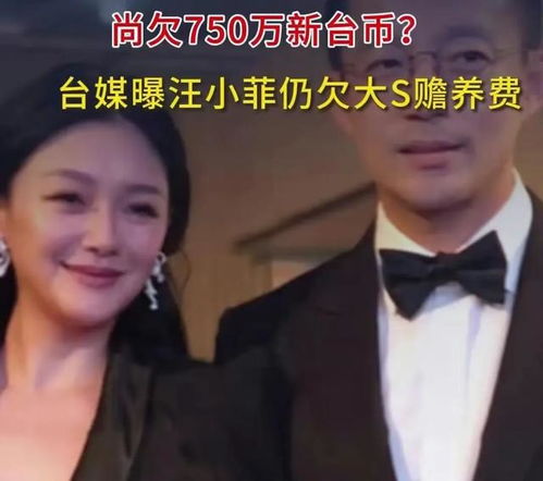 葛斯齐晒S妈与汪小菲聊天截图