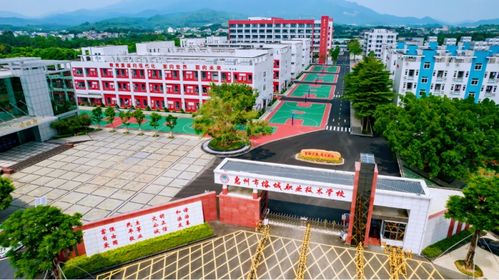 惠州专业的电子商务学校