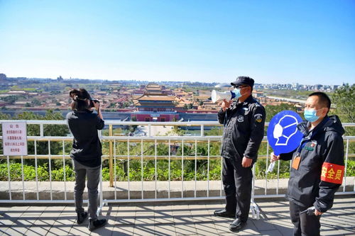 库克与杨天真共攀景山公园