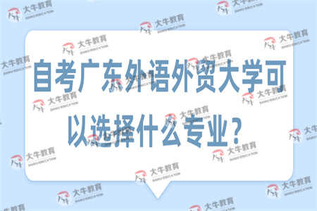 广外电子商务专业如何