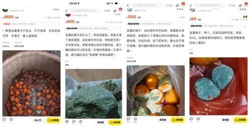 网上高价卖的发霉橘子，科研价值何在？