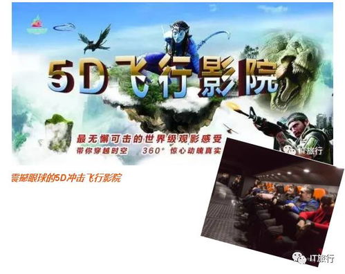 海漂一天一夜，小孩哥战绩惊人，勇敢与智慧的海洋传奇
