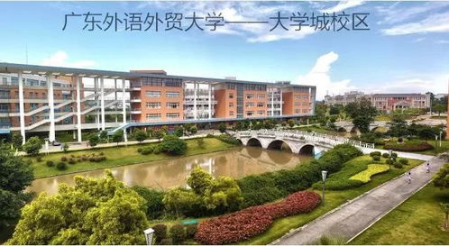 合工大电子商务专业代号