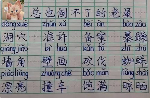 男孩硬笔字迹宛如印刷体——书写之美的独特诠释
