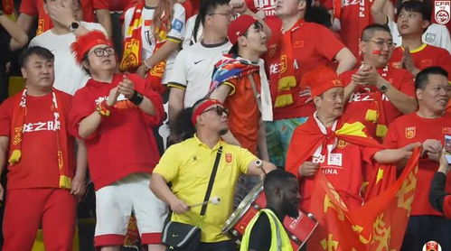 中澳之战球票炒至上万元，球迷热情高涨引发关注