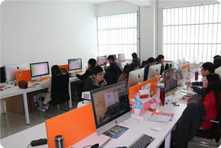 大学专业电子商务虎扑