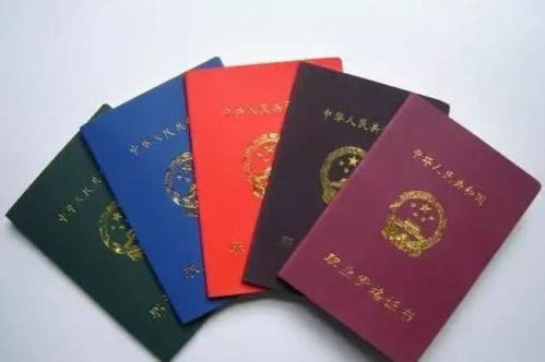 电子商务专业可考的证