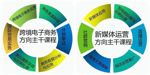 电子商务转什么专业更好
