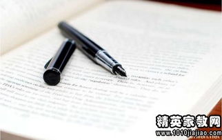我和我专业电子商务作文