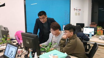 电子商务与政务专业就业