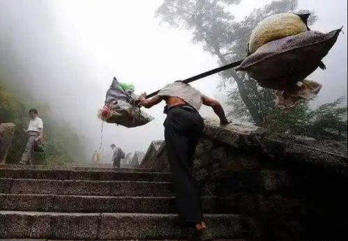 泰山机器狗将取代挑山工？官方回应引发社会热议