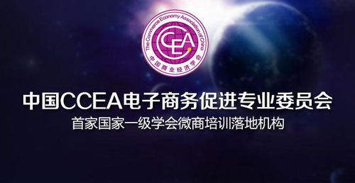 华夏电子商务专业招聘要求