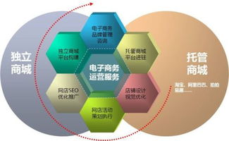 电子商务专业也分类吗