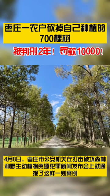 安徽网红树被农户砍掉？当地回应，系误砍，将进行复植