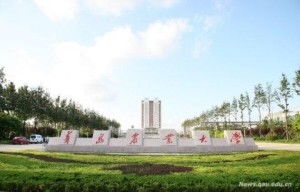 青岛大学专业电子商务