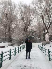 东北三月末下起鹅毛大雪
