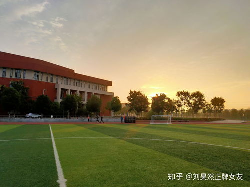 武汉的大学电子商务专业