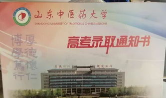 26岁北大研究生毕业后的新选择，食堂阿姨的坚守与奉献