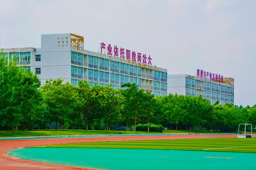 鞍山职教城电子商务专业