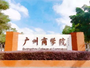广东电子商务专业大学