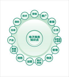 电子商务专业入职简历