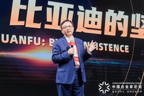 胖都来成立，胖东来积极回应