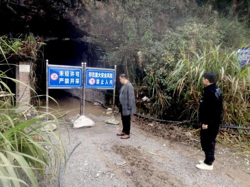 成都踏春挖水晶热潮背后的法律风险