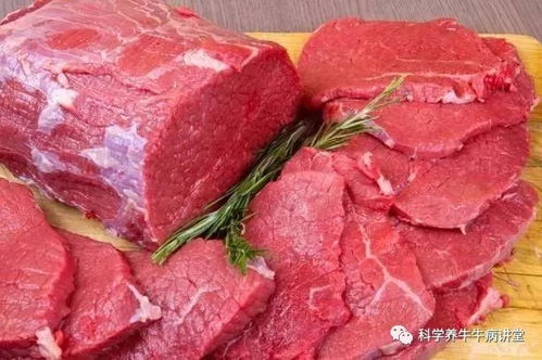 中方没续牛肉 美国厂商遭重击
