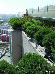 在泰华人：地震时楼顶泳池发大水