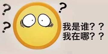 为什么有钱人都在清仓